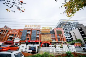 Vienna Classic Hotel Guangzhou Hanyi Changlong Wanbo South Guibiyuan - Image 3