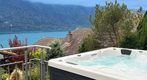 Luxury Lakeview Chalet with AC & SPA near Interlaken - Image 5