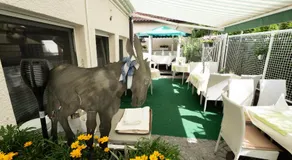 Hotel - Restaurant Traube - Image 5