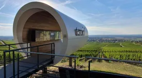 Gasthaus Winzerstube & Hotel - Image 2