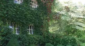 Landhaus Ettenbühl Bed and Breakfast - Image 3