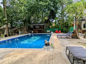 Dream beachfront cabin - Image 3