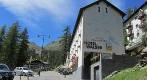 Walser App.31 Pozzi - Image 3