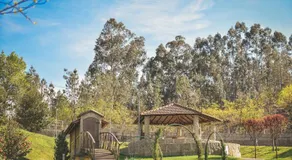 Quinta do Farejal - Image 4