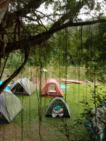 Tree Story Farm by FarmVille @ Seremban - Image 3