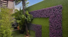 Casa palmera - Image 5