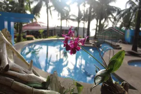 Appleton Little Paradise Beach Resort & Restaurant REAL QUEZON - Image 3