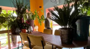 Plantkot, a cozy apartment full of plants of tinykot - Image 4