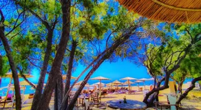 YourSpot Project - shared countryhouse - private rooms - West Peloponnese - Image 4