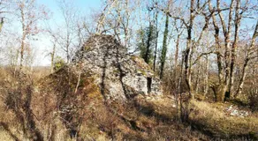 LA FERME JARLAN - Image 5