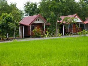 Jamsai Resort - Image 5