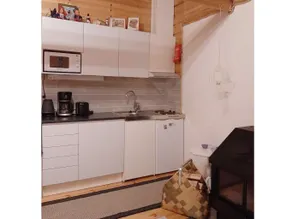 Pikkupöllö - Image 4