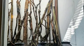 Independent studio room in private villa - Image 4