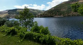 Douro Feels Like Home - Image 2