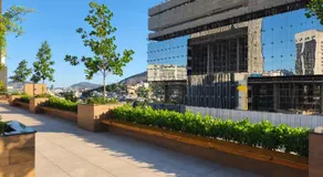Top View Rio - Image 5