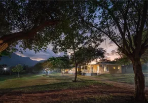The Wild Forest Resorts - Image 3