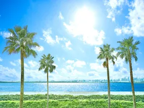 Tokyo Bay Maihama Hotel First Resort - Image 5