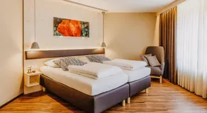 Maiers Johanniterbad Ringhotel Rottweil - Image 2