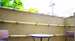 Kukunochi - Image 3