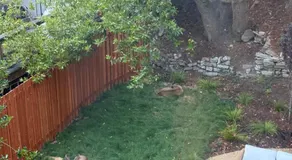 Private Guest Suite Near Berkeley - Image 5