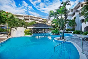 Bougainvillea Barbados - Image 2