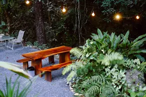 Bee Forest - Image 4