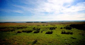 Carraw Bed & Breakfast - Image 5