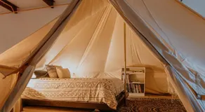 Whimsical Glamping Fantasyland by Meow Wolf - Image 2