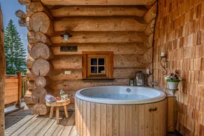 Premium Chalets Maria Alm - Image 2
