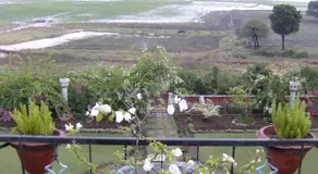 Jheelam Homestay - Image 4