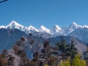 Thakur Homestay Munsyari - Image 5