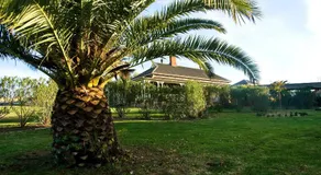 Hermitage Hill Country Retreat - Image 4