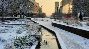 Beautiful Studio La Défense - Image 5