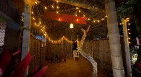 Areca Nest - Image 4