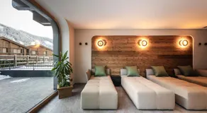 DISTINCTIVE LUXURY DOLOMITI Apartments TERRE71 - Image 3