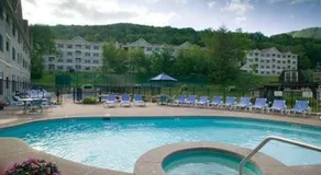 Ski On Off 1BR Suite 1st Flr Sleeps 4 Jiminy Peak - Image 3