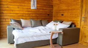 Cottage Mountain crystal kazbegi - Image 2
