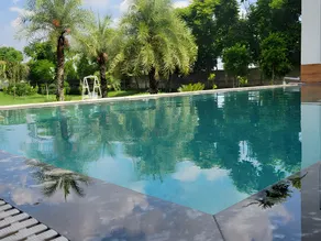 Nimboli Farms - Image 5