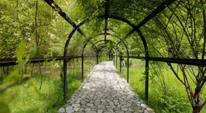 Nino's House - Image 4