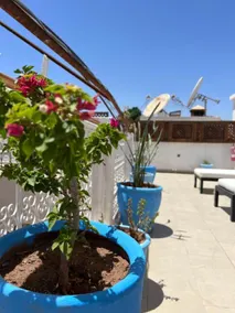 Riad Malfa - Image 2