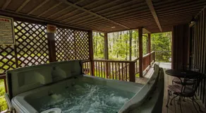 Hemlock | Hocking Hills - Image 3