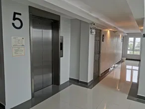 Sky Korat - Image 4