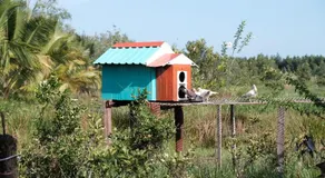 Bungalow - Farmstay Hoa Rừng U Minh - Image 4