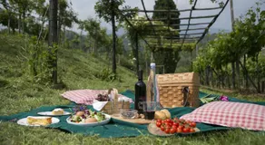 Agriturismo Il Belvedere - Image 5