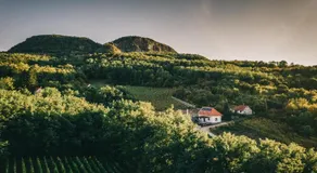 FATA Birtok - Image 3