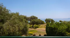 Bluenique Barbati - Image 5