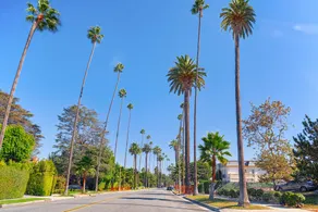 Elevated Escape Luxury 1BR in Hollywood - Image 3