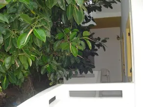 Kiveli - Image 2