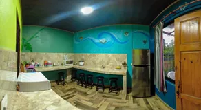 Hostel Tortuguero 7BackPackers - Image 3