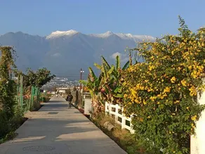 Peak Vista Villa - Image 4